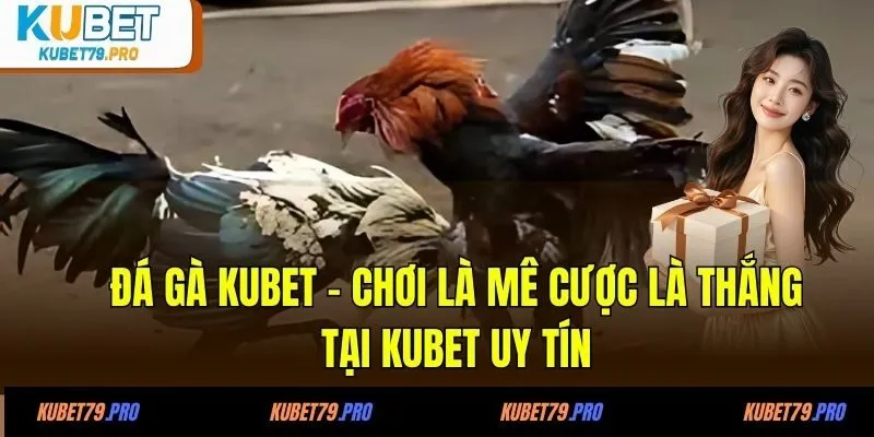 Đá Gà KUBET - Chơi Là Mê Cược Là Thắng Tại KUBET Uy Tín